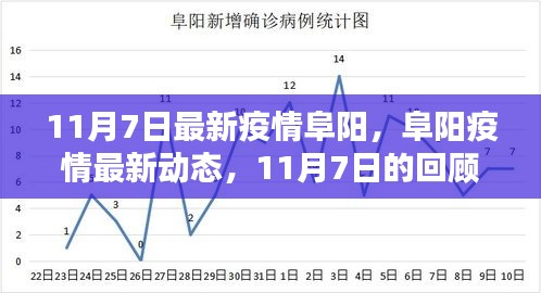 阜阳疫情最新动态，11月7日回顾与影响分析