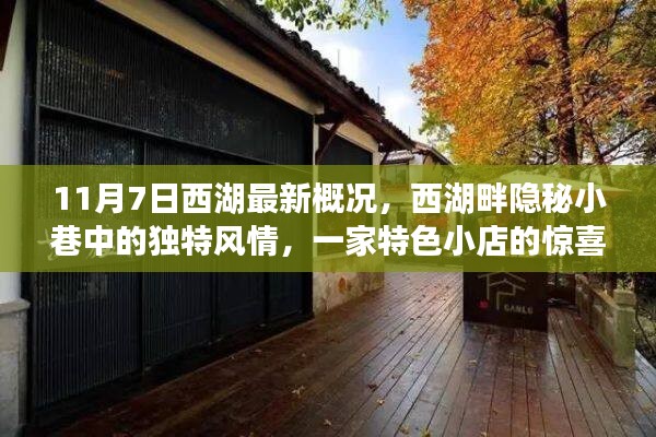 广告纸抽 第710页