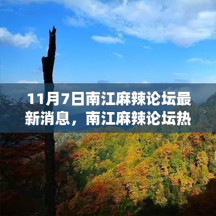 目不转睛 第16页
