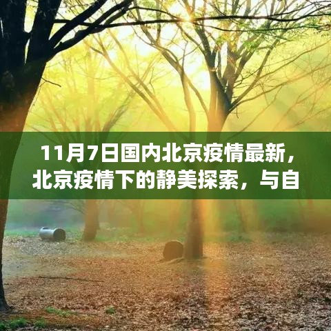 一次性餐包 第719页