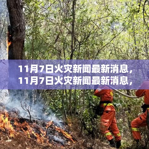 11月7日火灾新闻深度解析与案例分析，最新消息及案例分析
