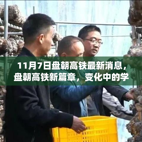 橘虞初梦 第15页