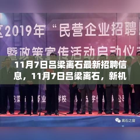 11月7日吕梁离石最新招聘信息，新机遇，再启程，点燃自信与成就感