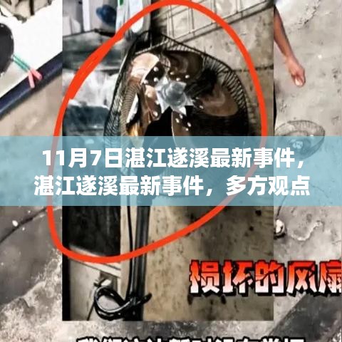 湛江遂溪最新事件深度解读与反思，多方观点下的探讨（11月7日）