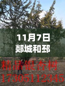 一次性餐包 第704页