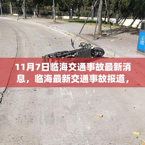 临海最新交通事故报道，揭秘街头瞬间发生的悲剧（11月7日）
