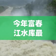 废寝忘食 第12页