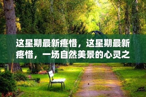 自然美景的心灵之旅，本周最新感受与疼惜的旅程
