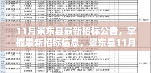 景东县最新招标公告详解，掌握最新招标信息步骤指南（11月版）