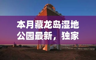 初告白 第11页
