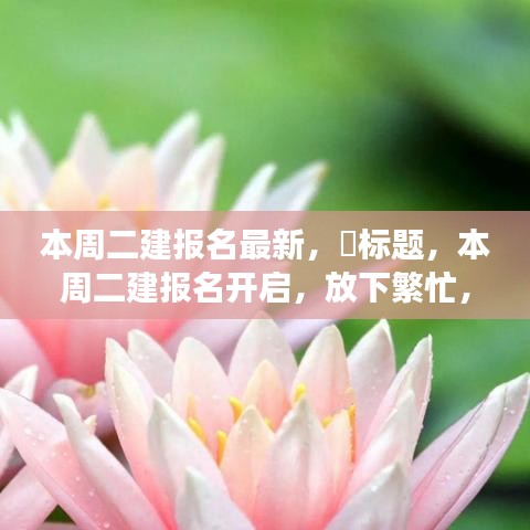 第1995页