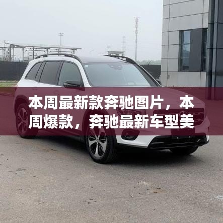 浅笑轻吟梦一曲 第11页