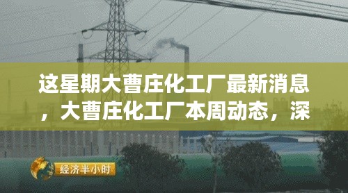 神采奕奕 第10页