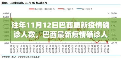 往年11月12日巴西疫情确诊人数详解，查询指南与初学者进阶指南