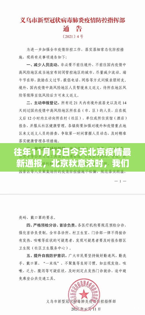 北京秋意浓时，抗疫日常趣事与疫情最新通报