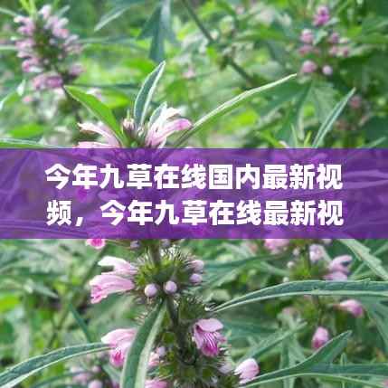 森久 第8页