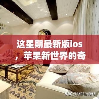 心急如焚 第8页