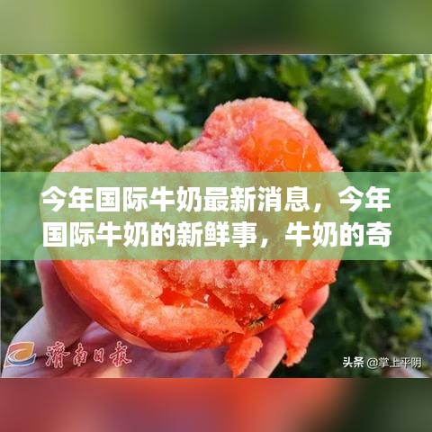 肝胆相照 第8页