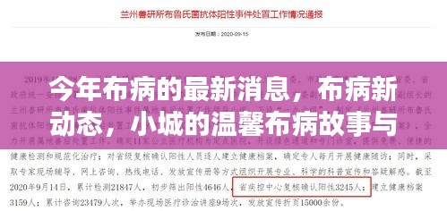 今年布病最新动态，小城故事中的布病进展与友情纽带