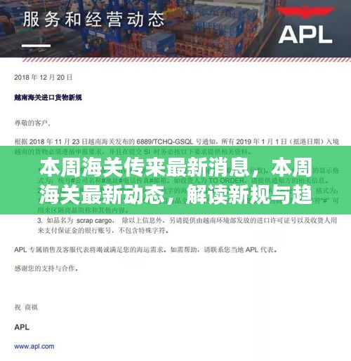 本周海关动态更新，解读新规趋势，洞悉贸易发展新机遇