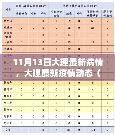 大理疫情最新动态报告，11月13日大理疫情更新及最新病情分析