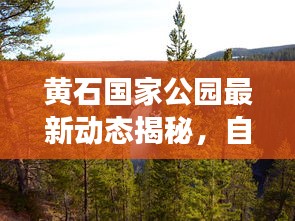 降贵纡尊 第4页