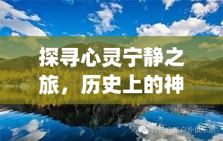 草长莺飞 第4页