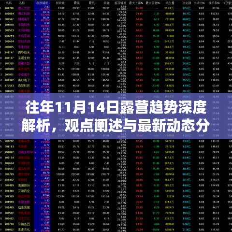 往年11月14日露营趋势深度解析，观点阐述与最新动态分析