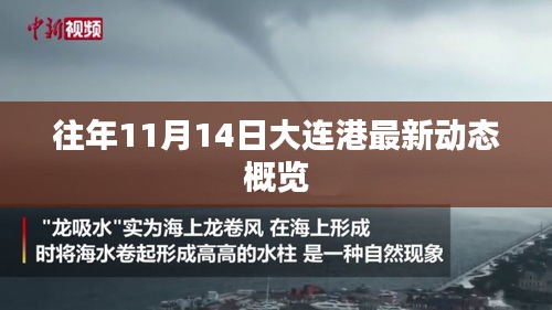 往年11月14日大连港最新动态概览