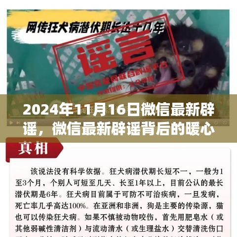悠然自得 第7页