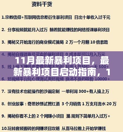 11月最新暴利项目，最新暴利项目启动指南，11月热门项目步步为营