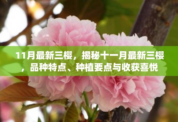 初告白 第5页