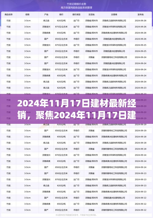 聚焦建材市场，最新经销策略探析与观点阐述（2024年11月17日）