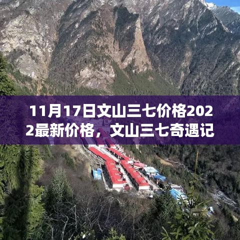 广告纸抽 第581页