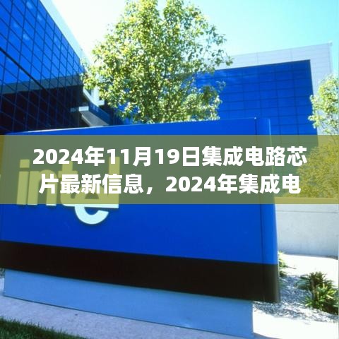 物离乡贵 第3页