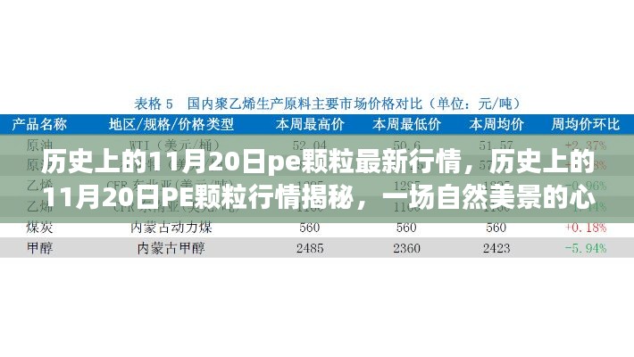 蹉跎岁月 第3页
