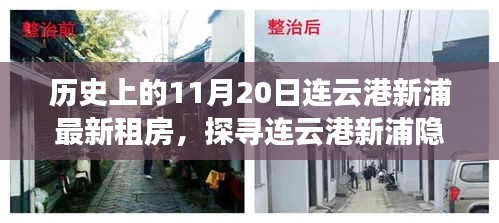 穷鸟入怀 第3页