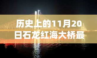 广告纸抽 第555页