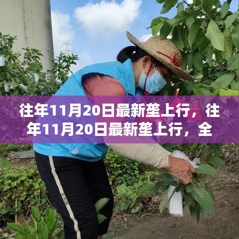 布衣蔬食 第3页
