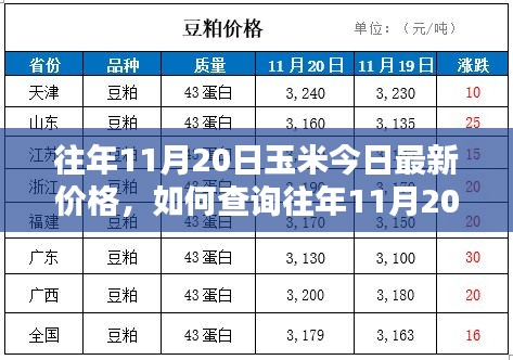 不拘小节 第3页