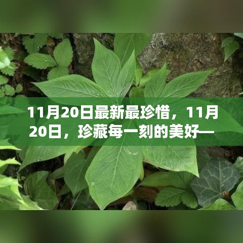 百鸟归巢 第3页
