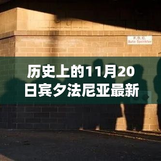 志在四方 第3页