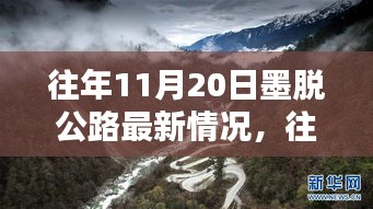 鸷鸟不群 第3页