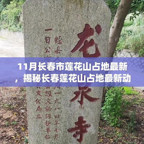 张灯挂彩 第3页