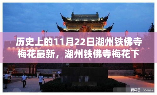 金石为开 第3页