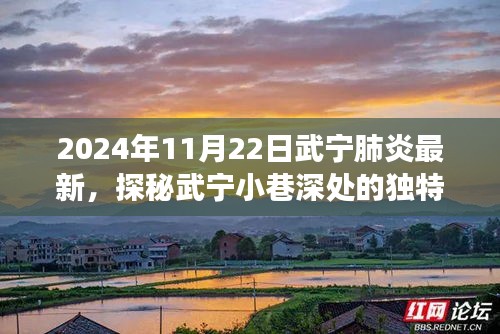 探秘武宁小巷深处的独特美味，疫情之下的美食宝藏最新报道（2024年11月22日）