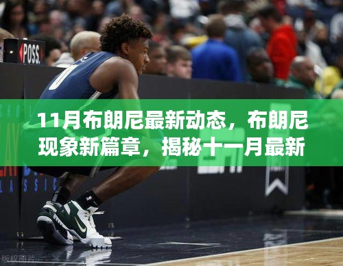揭秘布朗尼现象新篇章，十一月最新动态及其深远影响