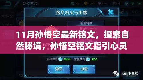 11月孙悟空最新铭文揭秘，心灵之旅启程，探索自然秘境之门