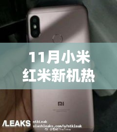 贵而贱目 第5页