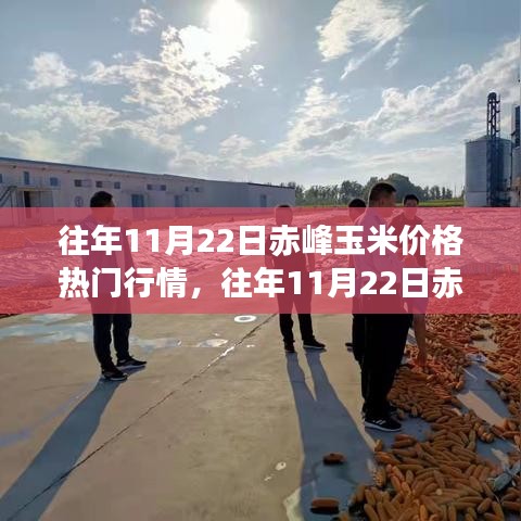 慎重其事 第3页